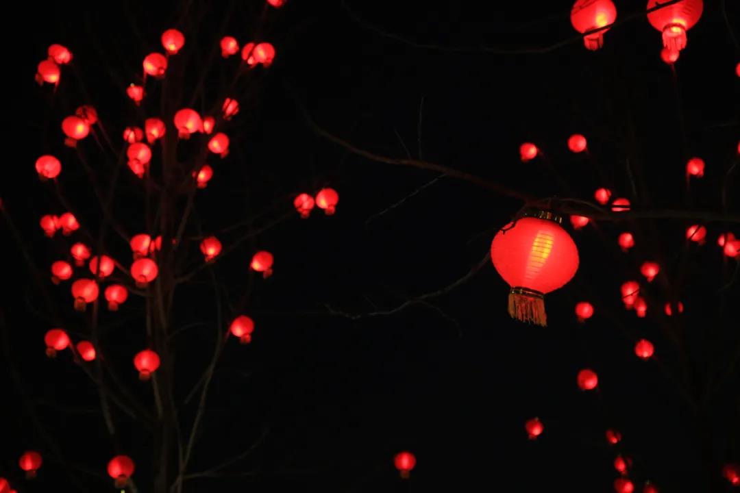 微信图片_20220124015258.jpg