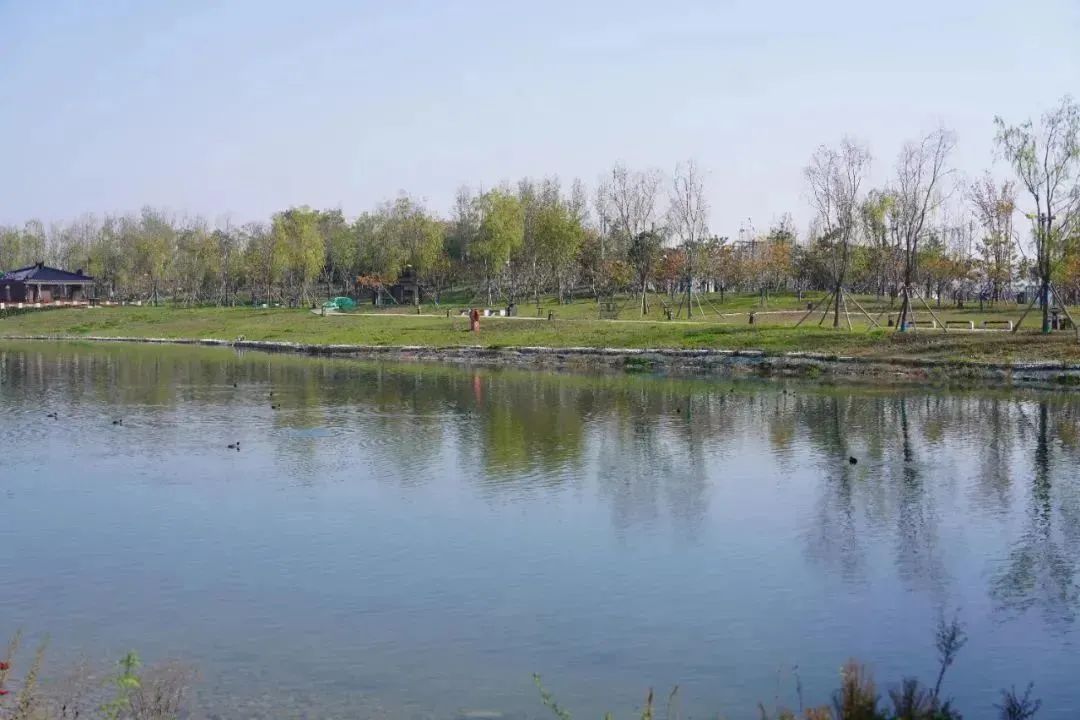 微信图片_20221207083644.jpg