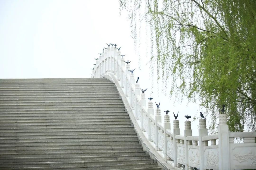 微信图片_20230223154337.jpg