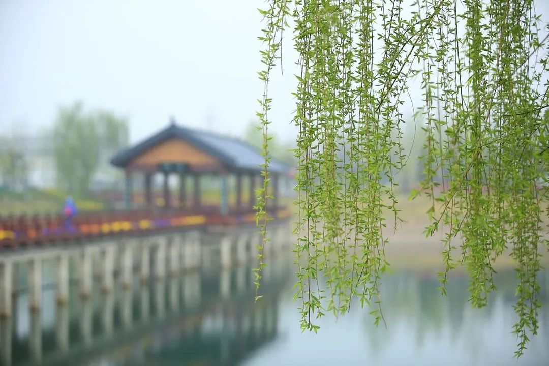 微信图片_20230223154334.jpg
