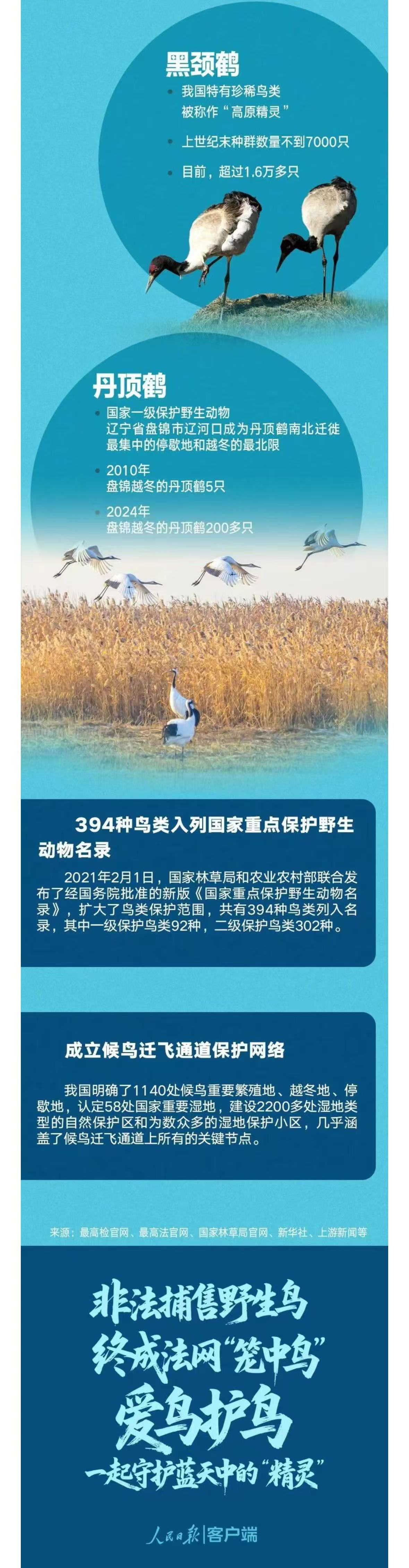 WechatIMG2846.jpg