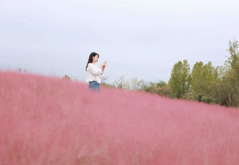 /uploads/image/2025/10/10/5554aa688487f593b6c758890793b1cf.png